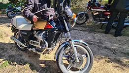Camargue Alpilles 2025